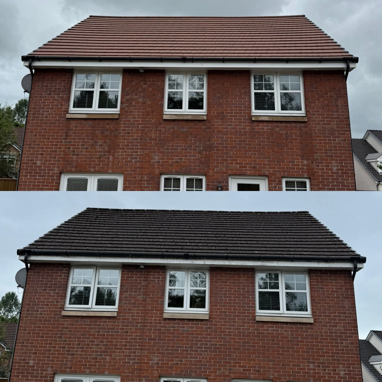 Before and after 19